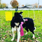 Foto van Aniek