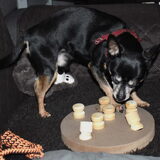 Balou is er ook iets handiger in als Lotus, die geeft het best snel op.