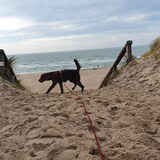 Tess kan niet wachten om het strand op te rennen!