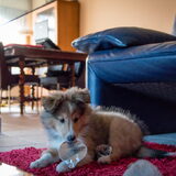 Foto van Kath