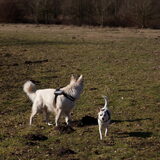 Foto van Hetty & Skipper