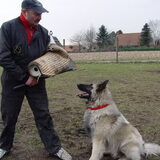 Harry Di Terra Meiga bewaking training IPO 1