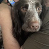 Foto van chay & dolci