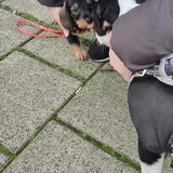 Foto van Nadia & Mila
