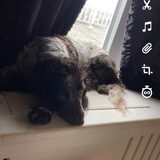 Foto van chay & dolci