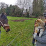 Foto van Kath