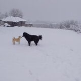 Foto van Hannah & June