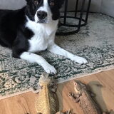 meeting ofzo?