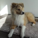 Foto van Kath