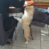 Foto van Kath