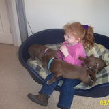 Christel in de mand
