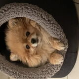 Pia, in haar gelieve iglo huisje