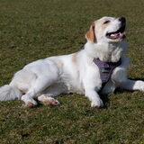 Foto van Sandra Bol