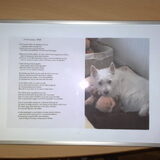 Dit is een foto van Iggy, samen met haar gedicht, die ik voor haar…