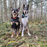 Foto van Aedon & Senán