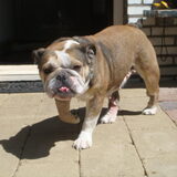 dit is kaylee
