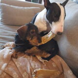 Foto van Nadia & Mila