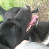 Foto van Hannah & June