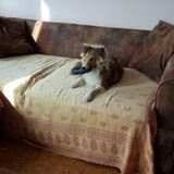 Foto van Kath