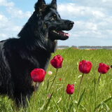 Foto van L&R