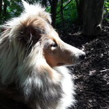 Foto van Kath