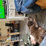 Foto van Henny/Spero