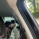 Foto van chay & dolci