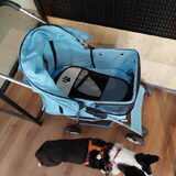 Foto van Bush dog