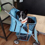 Foto van Bush dog
