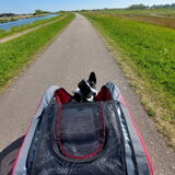 Foto van Bush dog