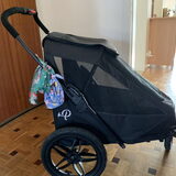 Indy’s buggy.