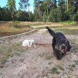 Foto van sylvia