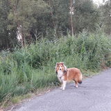 Foto van Kath