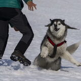 Foto van Alaska's Finest!