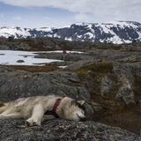 Foto van Alaska's Finest!