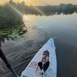 Foto van Bush dog
