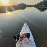 Foto van Bush dog