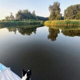 Foto van Bush dog