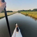 Foto van Bush dog