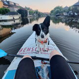 Foto van Bush dog