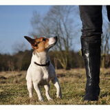 Bikkel let op!!