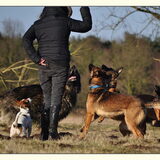 Opletten allemaal!!