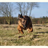 http://www.flickr.com/photos/deheuvelroedel/4421639387/in/photostream…