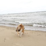Foto van Kath