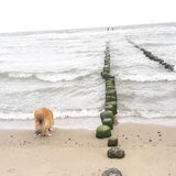 Foto van Kath