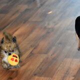 Samen spelen.
