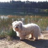 Foto van sylvia