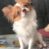 Foto van Tania