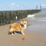 Foto van Kath