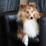 Foto van Kath